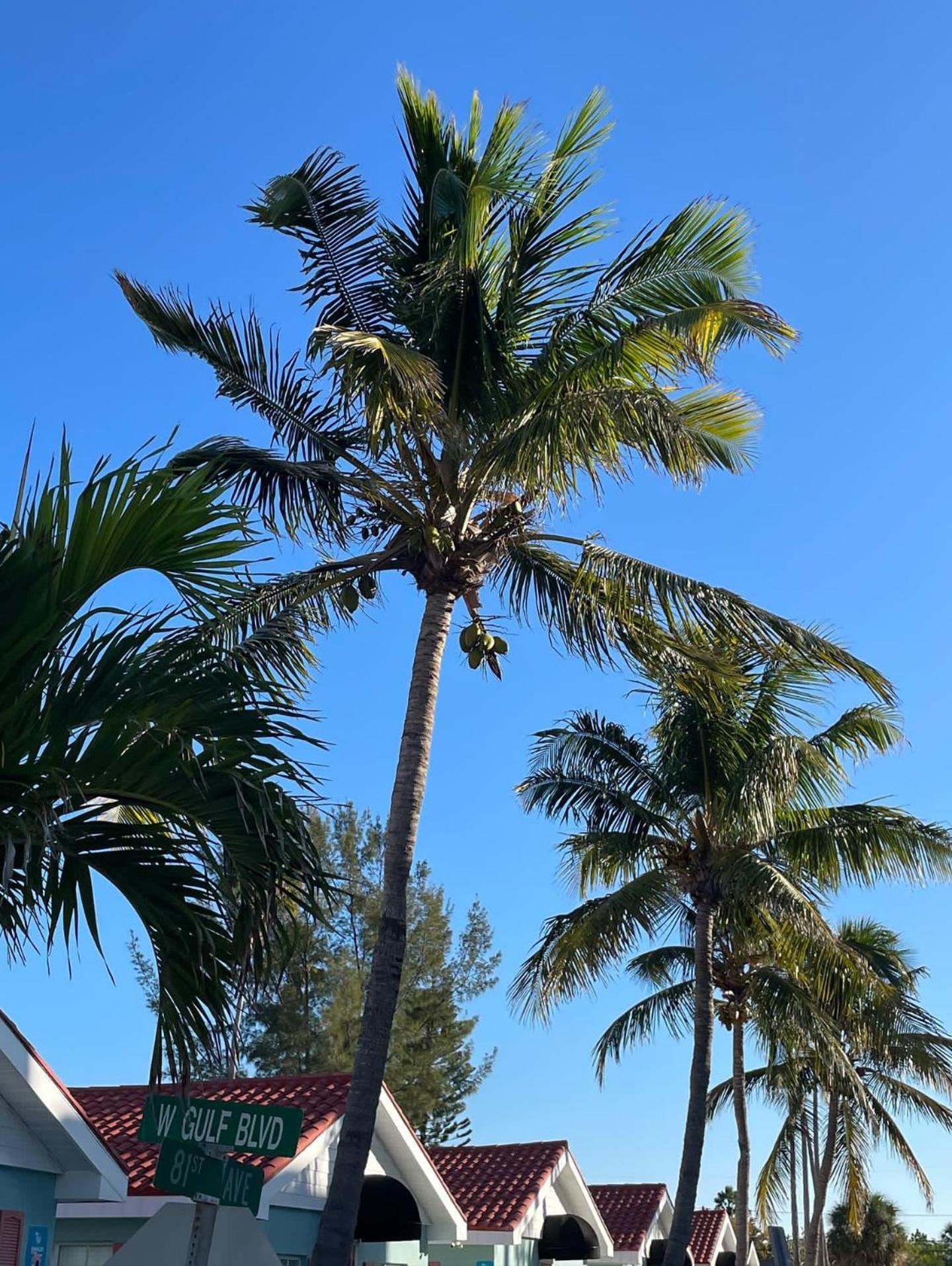 Blue Waters Treasure Island Hotel Bagian luar foto
